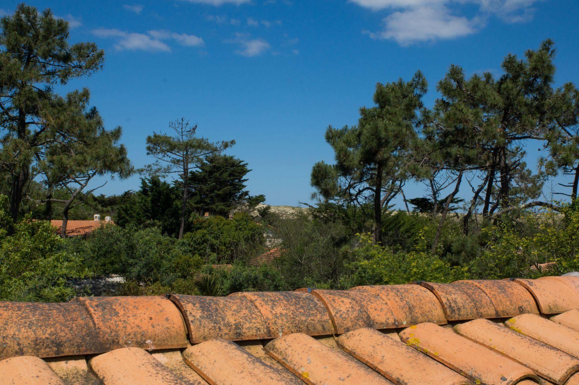 Le Lodge Du Cap Ferret Lege-Cap-Ferret Exterior photo